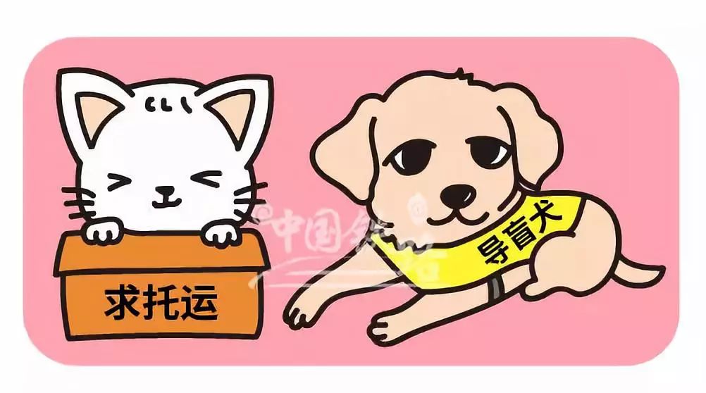最新资讯 第36页