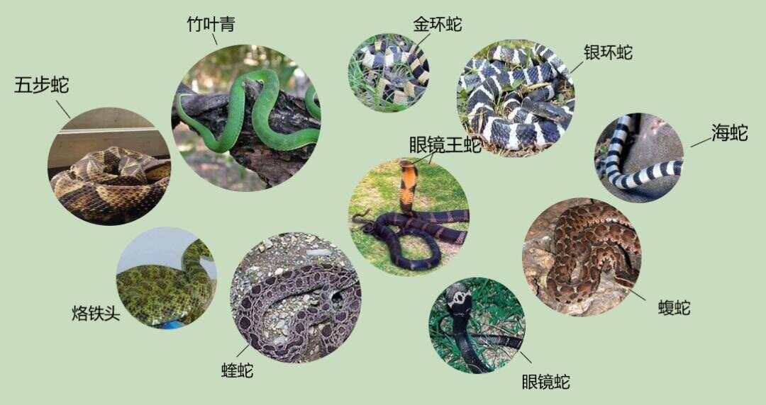 热点生活 第24页